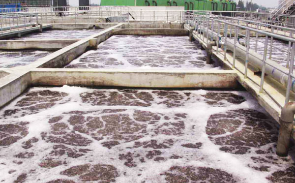 污水廠羅茨風機曝氣
