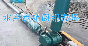 水產(chǎn)養(yǎng)殖增氧羅茨風(fēng)機(jī)市場(chǎng)尋找與分析