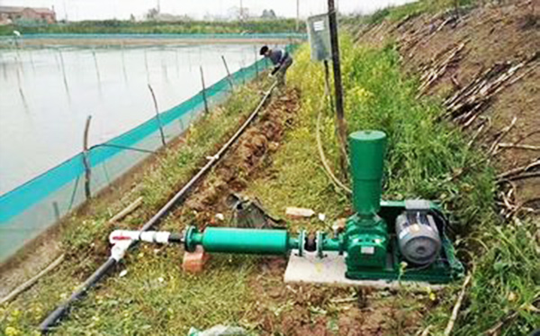 水產(chǎn)養(yǎng)殖增氧羅茨風(fēng)機